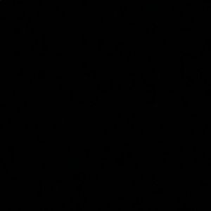 Meet your Posher, Jose